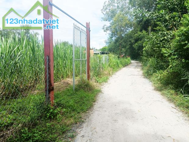 Bán đất đường Đỗ Thị Có - 1187m2 - 20x56 nở hậu 23m - xã An Phú - Củ Chi - 2