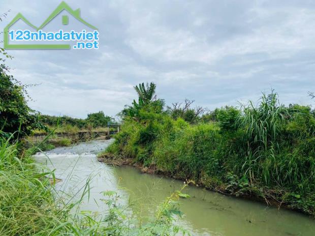 BÁN 7000M2, ĐẤT SỔ ĐỎ, QUY HOẠCH ĐẤT Ở, ĐƯỜNG LỚN, GIÁ CHỈ 4,4Tỷ (600k/m2) - 2