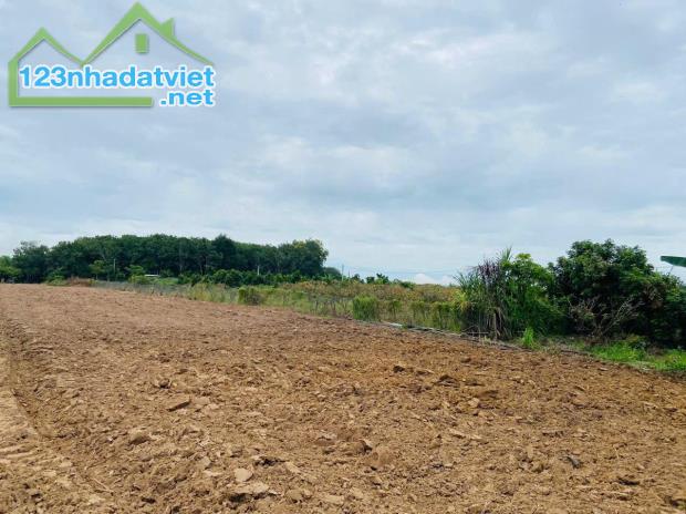 BÁN 7000M2, ĐẤT SỔ ĐỎ, QUY HOẠCH ĐẤT Ở, ĐƯỜNG LỚN, GIÁ CHỈ 4,4Tỷ (600k/m2)