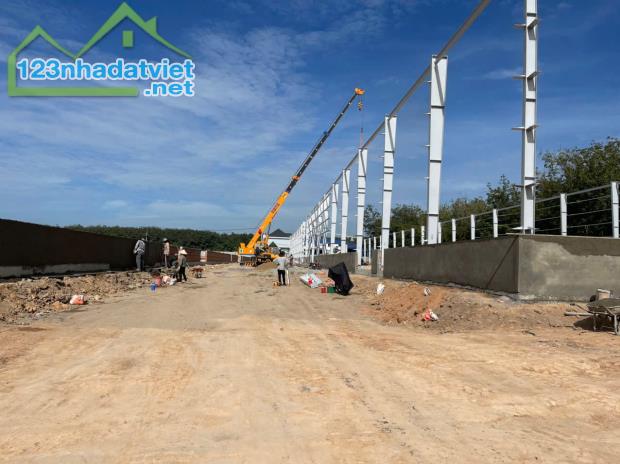 Cho Thuê 5.000m2 – 10.000m2 – 20.000m2 Xưởng Mới Tân Uyên Bình Dương - 1