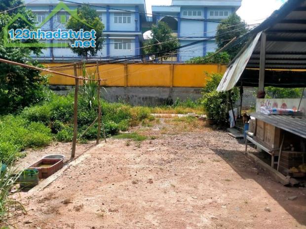 Chính chủ) Bán lô đất shr thổ cư - đường nhựa 361, xã Tân thạnh Đông, Củ Chi - 2