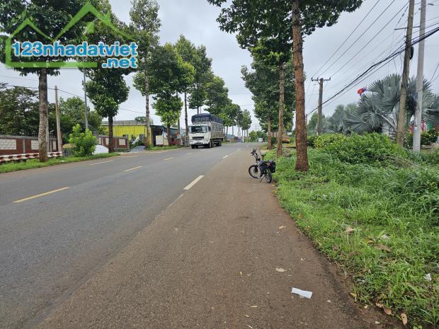 Bán Đất Lớn Lô Góc Đầu Tư Đường Lê Hồng Phong, Thị Trấn Ngãi Giao, Châu Đức - 2