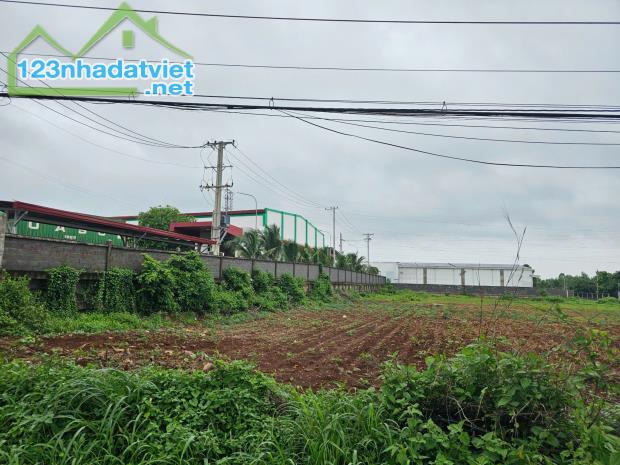 Bán Đất Lớn Lô Góc Đầu Tư Đường Lê Hồng Phong, Thị Trấn Ngãi Giao, Châu Đức - 1