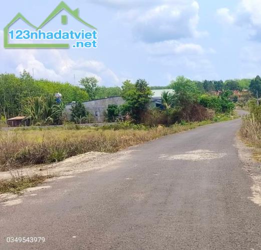 Đất Kim Ngọc-Hàm Thắng-Hàm Thuận Bắc-2 thửa LK:128m2TC-Mt đường,View sông Phú Hài - 1