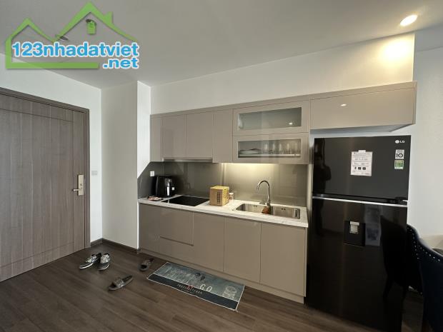 Cho thuê căn hộ  Symphony Riverside 66m2 full đồ 2pn 2wc giá 14.5tr - 5