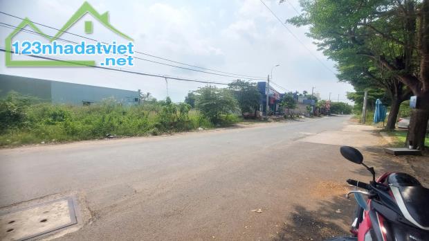 Bán 6.824 m2 đất thổ cư Quận 9 đường Bưng Ông Thoàn - 3