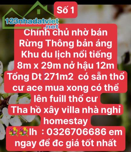 2000M2 ĐẤT HÀNG VIP FULL TC KHU DU LỊCH BẢN ÁNG ĐÔNG SANG MỘC CHÂU - LÀM HOME QUÁ ĐỈNH - 1