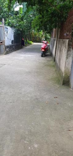 BÁN ĐẤT VẠN PHÚC - THANH TRÌ - HÀ NỘI, NGÕ Ô TÔ, NHỈNH 30TR/M2 - 1