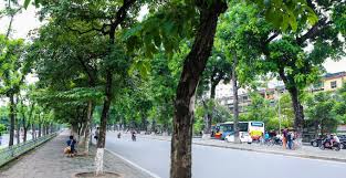 BÁN NHÀ MẶT PHỐ KIM MÃ - 53 TỶ, 6T, 1 HẦM. SỔ ĐỎ 80M. MẶT TIỀN 5M. - 2