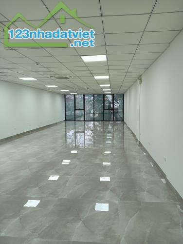 Bán Gấp Nhà Mặt Phố Triệu Việt Vương, Hai Bà Trưng 150m2x11T Dòng Tiền ~ 5Tỷ/năm - 200 Tỷ