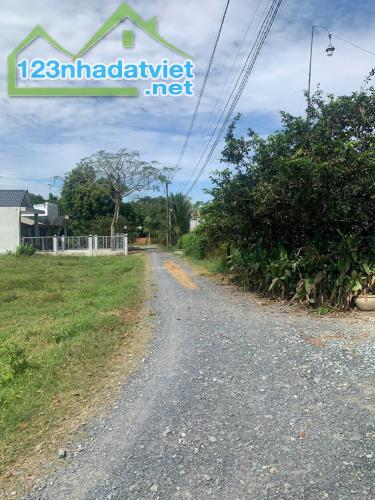 1000m2 đất vườn 2 mặt tiền đường đá xanh xã Tân Mỹ,huyện Đức Hòa, Long An giá 2,45 tỷ - 3