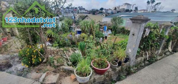 💰 Đầu Tư Ngay Lô Đất Đẹp Đà Lạt – Sổ Hồng Riêng, Tiềm Năng Homestay & Kinh Doanh!