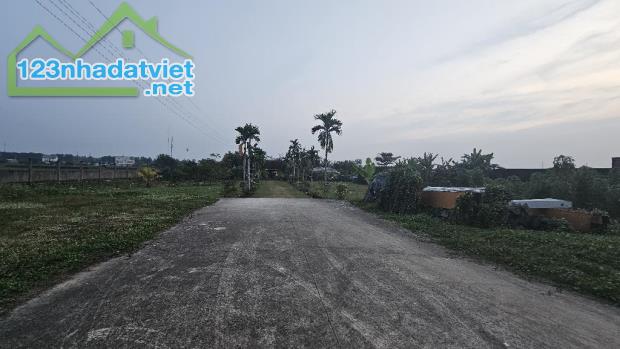 Cần Bán Gấp Đất Mặt Tiền Nguyễn Thị Ly -XTS Hóc Môn 6362m2 Chỉ 60 Tỷ - 3