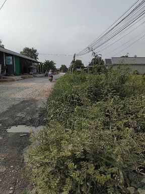 Chính chủ cần bán lô đất 2 mặt tiền Nguyễn Văn Dương, Xã Đức Hòa Đông, Huyện Đức Hòa, - 2