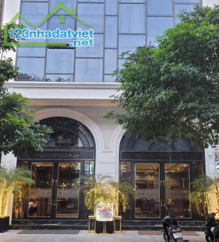 Bán Tòa Văn Phòng Mặt Phố Hàng Điếu, Hoàn Kiếm DT 260m2, 7T, MT 8.2m, Giá Cực Rẻ
