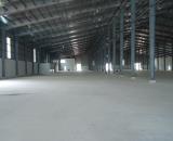 c19: Cho thuê 5000m2 kho xưởng tại Phước Tân- Giá Rê có hệ thống PCCC