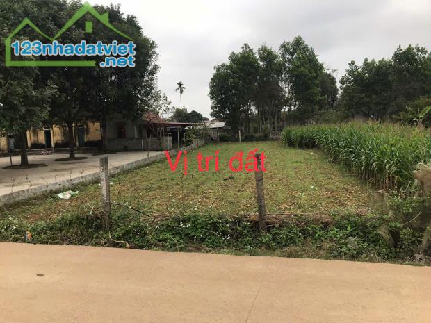 CHÍNH CHỦ BÁN ĐẤT TẠI THÔN 1, XÃ PHÚ LONG,HUYỆN NHO QUAN , TỈNH NINH BÌNH - 2
