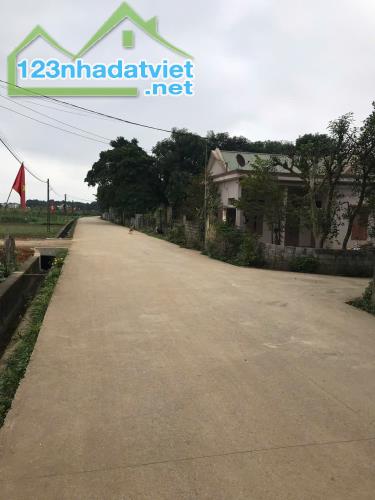 CHÍNH CHỦ BÁN ĐẤT TẠI THÔN 1, XÃ PHÚ LONG,HUYỆN NHO QUAN , TỈNH NINH BÌNH - 4
