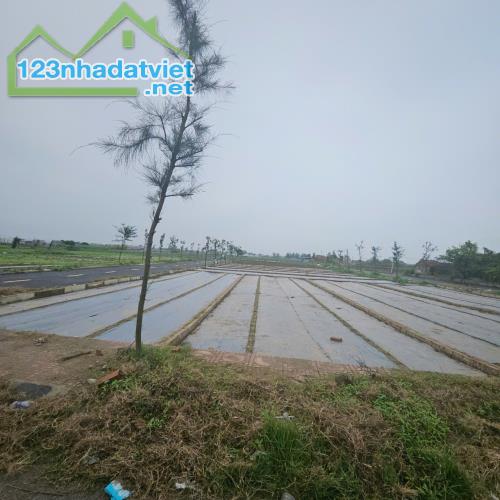 Bán đất nền ven biển, vị trí đắc địa, tiềm năng sinh lời cao, phù hợp đầu tư lâu dài
