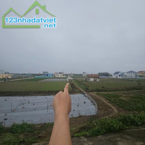 Bán đất nền ven biển, vị trí đắc địa, tiềm năng sinh lời cao, phù hợp đầu tư lâu dài - 1