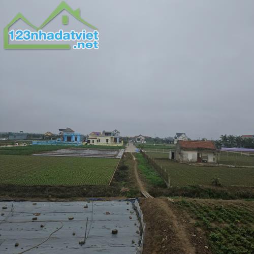 Bán đất nền ven biển, vị trí đắc địa, tiềm năng sinh lời cao, phù hợp đầu tư lâu dài - 2