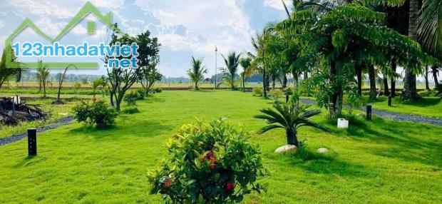 Nhà vườn nghỉ dưỡng xã Trung Lập Hạ, Củ Chi tổng dt 6000m2 có 86m2 thổ 3pn 2wc giá 10,8 tỷ - 2