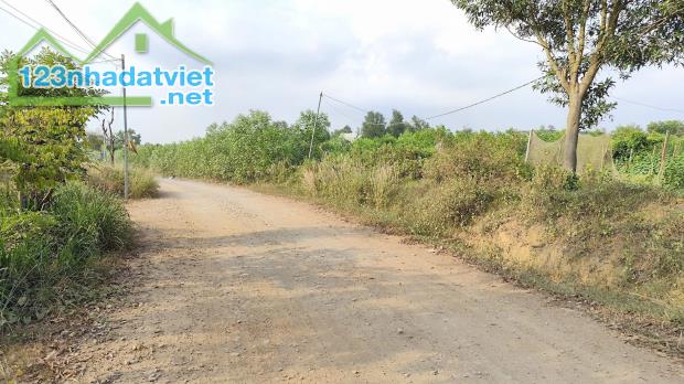 Bán lô đất 2 mặt tiền, Thai Hòa, Hố Nai 3, Trảng Bom, Đồng Nai, 3500m2, giá chỉ 8 tỷ. - 2