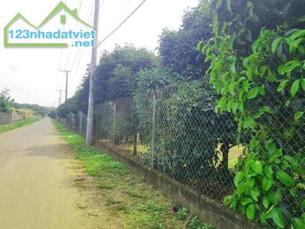 Kẹt Tiền - Cần Bán Gấp Lô Đất Vườn Trảng Bom 1500m2 - 1