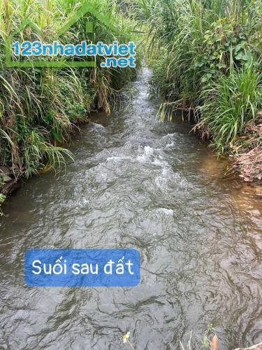 Kẹt Tiền - Cần Bán Gấp Lô Đất Vườn Trảng Bom 1500m2 - 2
