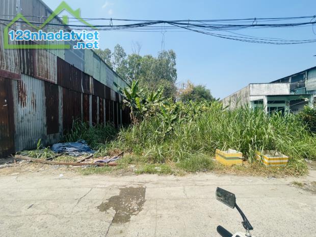 BÁN GẤP GIẢM 400TR-ĐẤT ĐÔNG THẠNH, HÓC MÔN, 300M2 NGANG 10M FULL THỔ CHỈ 6 TỶ 900 - 4