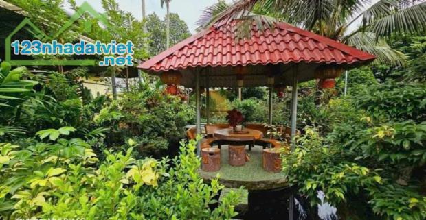 Bán nhà gỗ Mặt tiền An Hạ xã Phạm Văn Hai Bình Chánh - 2
