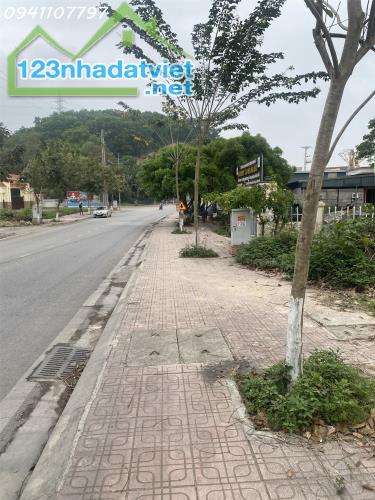 Bán Đất Vân Đồn 80m² – Full Thổ Cư – Mặt Đường 334 – Gần KĐT Phương Đông – Giá 2.4 Tỷ - 1