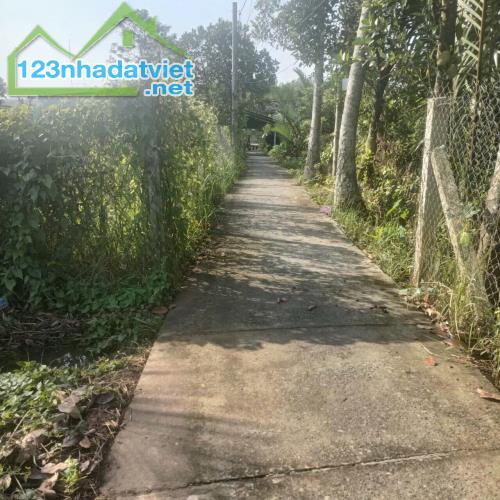 3,7công đất vườn,ấp Thới Thuận,Thới Sơn,TP.Mỹ Tho,Tiền Giang - 2