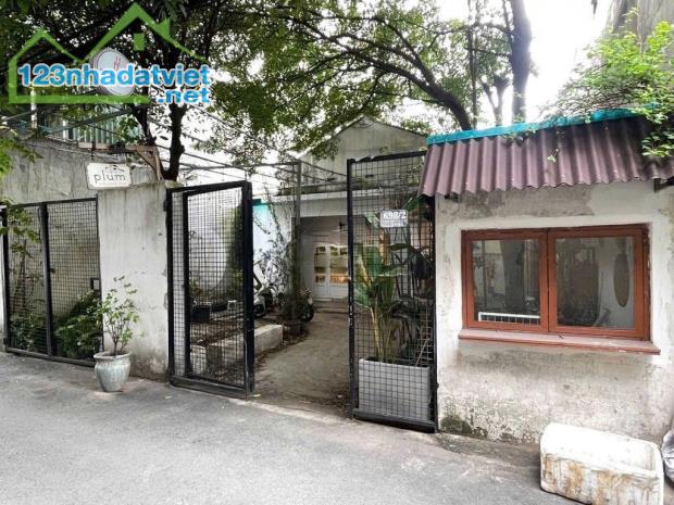 Cho thuê Biệt thự sân vườn 200m2 HXT sát MT Trường Chinh P15 Tân Bình - 2
