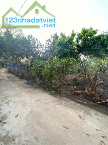 131m cách quốc lộ 6 chỉ 120 sát sân bóng 2 mặt tiền giá chỉ hỏn 20tr - 1