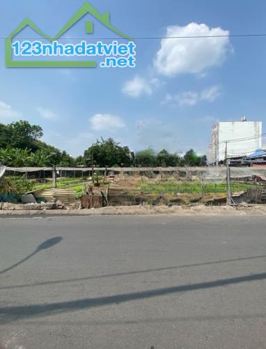 ✔️ Quỹ đất lớn chính chủ lâu đời, từ thời ông bà để lại. Vị trí góc 2 mặt tiền đường 16M. - 1