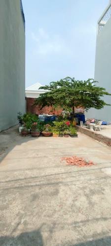 Lô đất đẹp 5x20m gần chợ Phú Xuân, hẻm xe hơi 1806 Huỳnh Tấn Phát sát bên Q7 chỉ 5.6 tỷ - 2