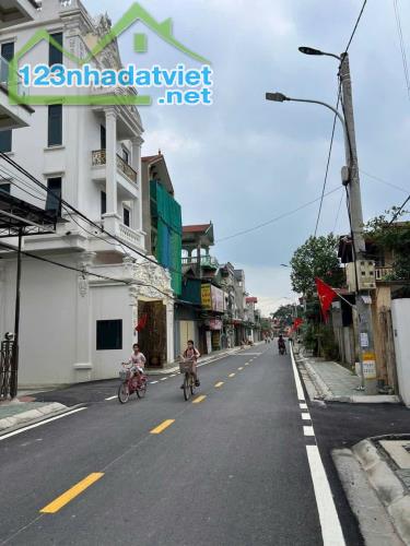 Đất Ngũ Hiệp - Thanh Trì- Mặt Tiền Kinh Doanh - 2