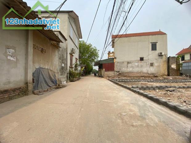 Đất Ngũ Hiệp - Thanh Trì- Mặt Tiền Kinh Doanh - 1