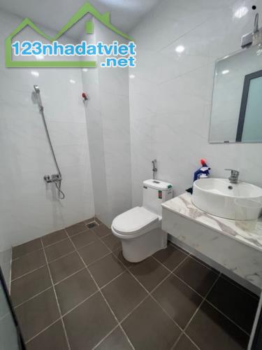 Bán nhà đẹp ở ngay MTKD đa ngành nghề Dạ Nam, 74m2, dòng tiền 750tr/năm, SHR, chỉ 17 tỷ. - 2