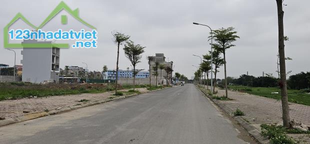 BÁN 80M2 ĐẤT ĐẤU GIÁ HUỲNH CUNG - TAM HIỆP - THANH TRÌ - 2