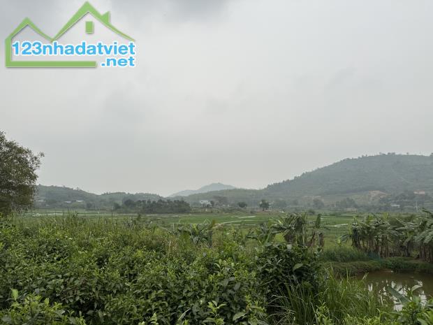 Chính chủ bán 3000m2 Đất Lô góc  Đồng Bồ, Đông Xuân, Quốc Oai, Hà Nội , Giá chỉ 5,5tr/m - 4