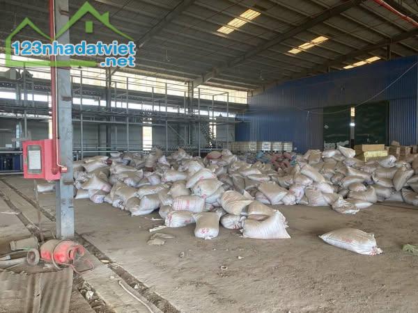 CHO THUÊ 10.000M NHÀ XƯỞNG SẢN XUẤT TẠI CHƠN THÀNH BÌNH PHƯỚC - 3