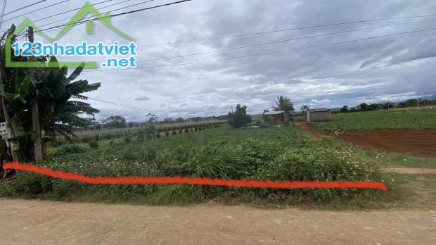 Bán 2 sào đất mặt tiền chính lê công thông, liên nghĩa đức trọng - 1