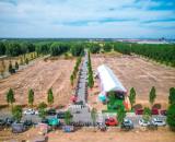 ĐẤT BÀU BÀNG - 150M2 - SỔ HỒNG - CÓ NHÀ SẴN