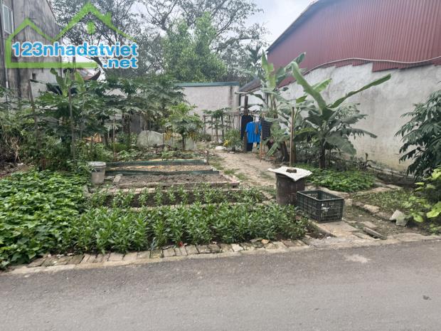 💰 Cơ Hội Đầu Tư! Đất Vuông Vắn Dt207 Giá 1 Tỷ 850 - Đồng Kỵ Từ Sơn - 2