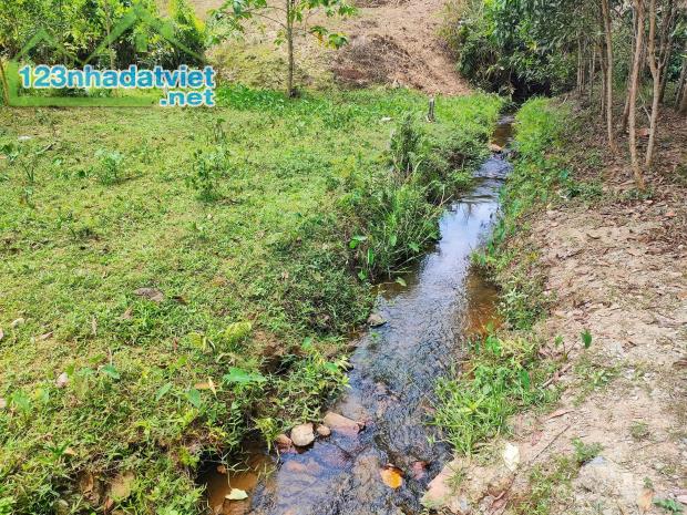 Bán đất vườn Khánh Thượng giá rẻ cạnh bên suối chảy quanh năm gần Quốc Lộ 27C - 4