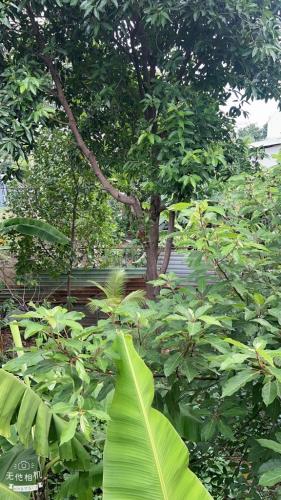 Bán nhà mặt phố tại DS3, Hiệp Bình Phước,Thủ Đức,giá siêu hời 54tr/m2,330m, 12m ngang - 3