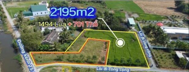 2400m2 đất 3 mặt tiền đường ( có 700m2 thổ) xã Tân Lân, Cần Đước Giá 4 tỷ - 4