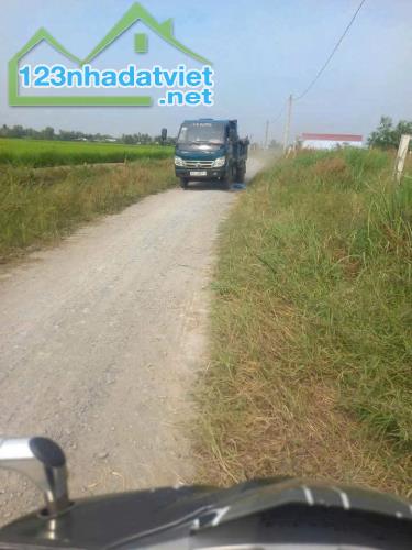 2400m2 đất 3 mặt tiền đường ( có 700m2 thổ) xã Tân Lân, Cần Đước Giá 4 tỷ - 3